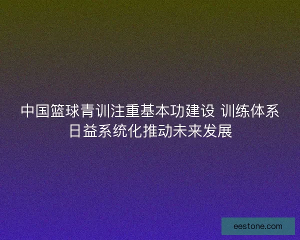 中国篮球青训注重基本功建设 训练体系日益系统化推动未来发展 中国篮球青训注重基本功建设 训练体系日益系统化推动未来发展